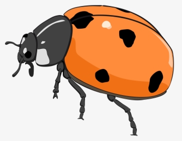 Coccinelle, Ladybug Clip Arts - Cute Beetle Clipart, HD Png Download, Free Download