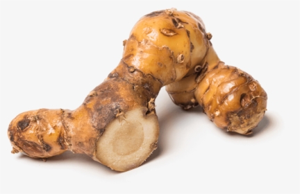 Greater Galangal, HD Png Download, Free Download