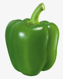 Green Pepper Png Image Purepng Transparent - Green Pepper Transparent Background, Png Download, Free Download