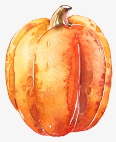Watercolor Pumpkins Png - Transparent Background Pumpkin Clipart, Png Download, Free Download