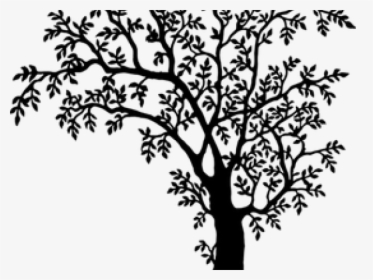 Tree Line Art - Tree Black And White Png, Transparent Png, Free Download