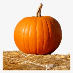 Transparent Pumpkins Png - Pumpkin In Nature, Png Download, Free Download
