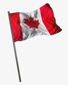 Canadian Flag Png - Canadian Flag Transparent Background, Png Download, Free Download