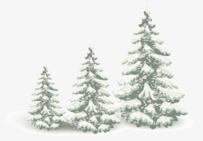 Falling Snow Pine Tree Png Download - Winter Pine Tree Png, Transparent Png, Free Download