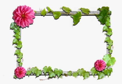 Clip Art Flower Frame Clipart - Flower Frame Png Clipart, Transparent Png, Free Download