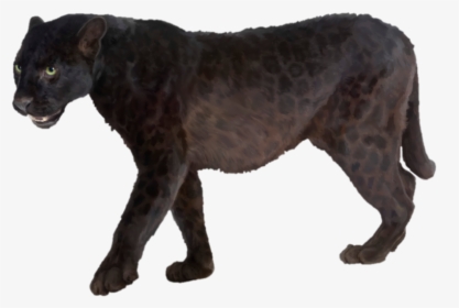 Panther Png Transparent Picture - Animal Sounds Photos And Info, Png Download, Free Download