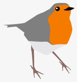 Old World Flycatcher,european Robin,wren - Common Nightingale Cartoon, HD Png Download, Free Download