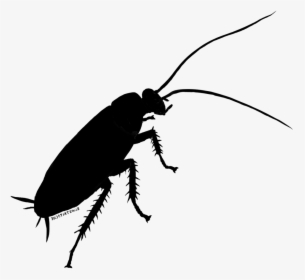 Cockroach Beetle Weevil Clip Art Silhouette - Cockroach Png, Transparent Png, Free Download