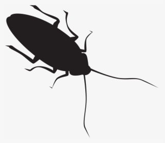 Cockroach Png Black And White - Silhouette Of A Cockroach, Transparent Png, Free Download
