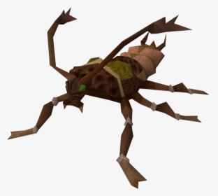 Cockroach Runescape, HD Png Download, Free Download