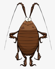 Transparent Cockroach Png - Cockroach Cartoon, Png Download, Free Download