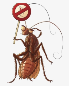 American Cockroach Png High-quality Image - Cockroach Character, Transparent Png, Free Download