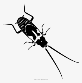 Cockroach Coloring Page - Longhorn Beetle, HD Png Download, Free Download