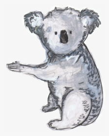 Transparent Koala Png - Koala, Png Download, Free Download