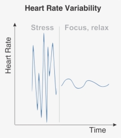 Heart Rate Variability Hrv - Heart Rate Variability Stress Focus Relax, HD Png Download, Free Download