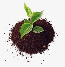 Soil Png Hd Image - Soil Png, Transparent Png, Free Download