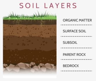 Layers Of Soil Clipart, HD Png Download, Free Download