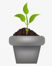 Flowerpot, HD Png Download, Free Download