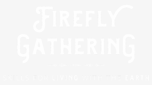 Firefly Gathering, HD Png Download, Free Download