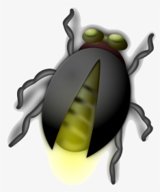 June Bug Clip Art, HD Png Download, Free Download