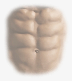 Abs Png Page - Six Pack Abs Png, Transparent Png, Free Download