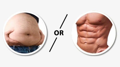 Transparent Six Pack Abs Clipart - Fat Belly Vs Abs, HD Png Download, Free Download