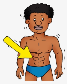 Cartoon Abs, HD Png Download, Free Download