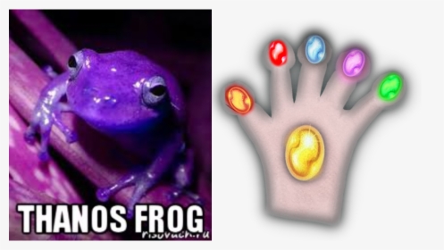 Thanos Glove Gauntlet Custom Fit For Frog Fingers Imgur - Frog Purple, HD Png Download, Free Download