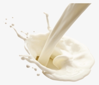 National Milk Day 2019, HD Png Download, Free Download