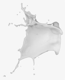 Forgetmenot Chocolate And Milk Splash - Monochrome, HD Png Download, Free Download