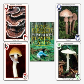 Fp"s Original Mushroom Playing Cards"     Data Rimg="lazy"  - Mushroom Playing Cards, HD Png Download, Free Download