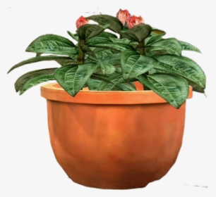 Dead Rising Wiki - Plants Transparent Background, HD Png Download, Free Download