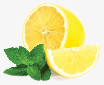 Mint, Our Menu Alshami - Lemon And Mint Png, Transparent Png, Free Download
