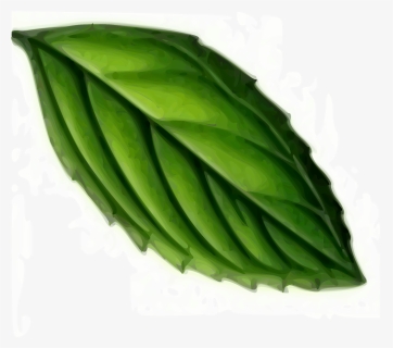 Mint Leaf Svg Clip Arts - Mint Leaf Clipart, HD Png Download, Free Download