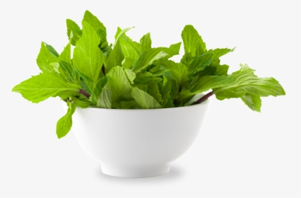 Mint, Scent Geranium Natural Freshness - Mint Leaves Png Bowl, Transparent Png, Free Download