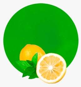 Mint And Lemon Logo, HD Png Download, Free Download