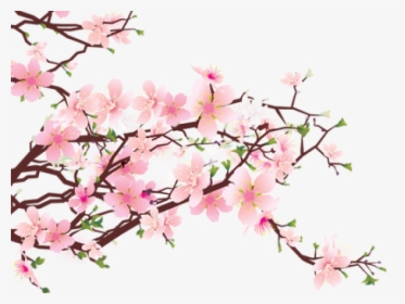 Sakura Clipart Blosson - Cherry Blossom Tree Png Transparent, Png Download, Free Download