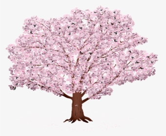 Sakura Tree Background, Sunrays, Sakura, Summer, Spring - Bouquet, HD Png Download, Free Download