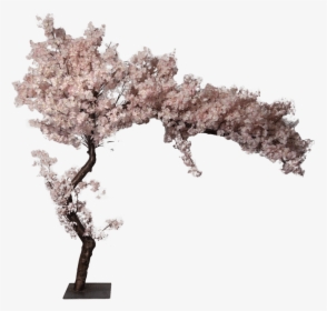 Cherry Blossom Artificial Tree - Cherry Blossom, HD Png Download, Free Download