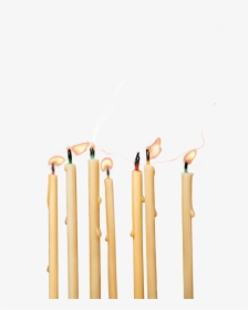 Beeswax Birthday Candles - Candles Png, Transparent Png, Free Download