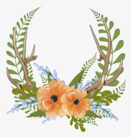 #folwers #antlers #floral #wreath #freetoedit - Logo All Star Fitness, HD Png Download, Free Download