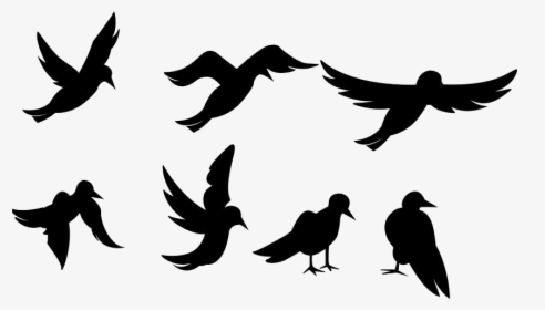 Flock Of Birds Png Transparent Images - Bird Flapping Wings Animation, Png Download, Free Download