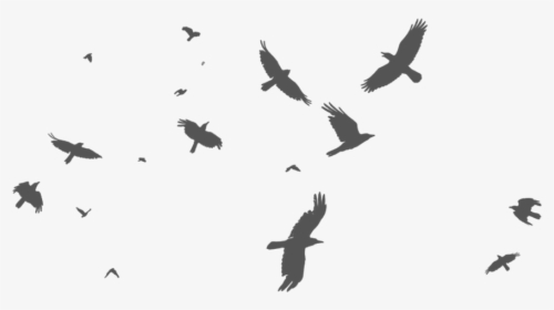Transparent Flock Of Birds Png - Flock Of Crow Silhouette, Png Download, Free Download