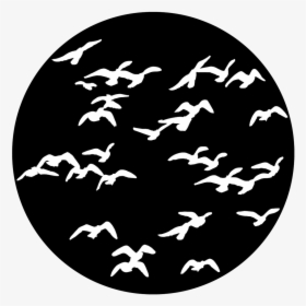 Apollo Design 1137 Flock Of Birds Steel Pattern - Rosco Gobo Birds, HD Png Download, Free Download