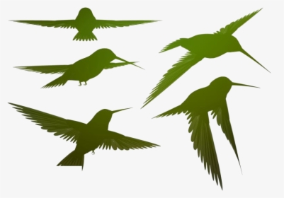 Colorful Bird Png Transparent Images - Bird, Png Download, Free Download