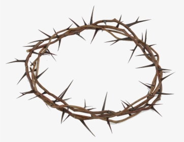 Crown Of Thorns Png Free Download - Crown Of Thorns 3d Model, Transparent Png, Free Download