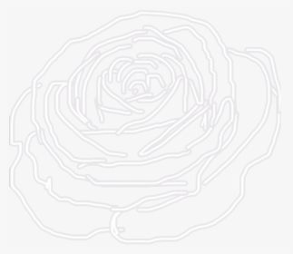 Transparent Rose Outline Png - Illustration, Png Download, Free Download