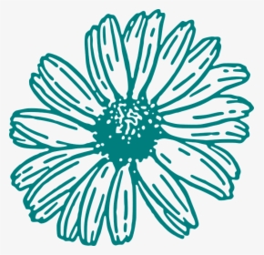 Daisy, Flower, Outline, Floral, Blossom, Blooming - White Outline Flower Clipart, HD Png Download, Free Download