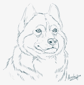 Siberian Husky Coloring Pages With Realistic - Realistic Husky Coloring Pages, HD Png Download, Free Download