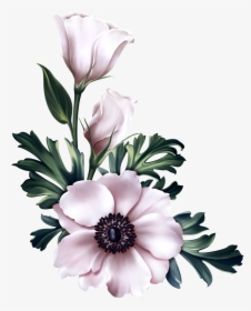 Winter Flower Transparent, HD Png Download, Free Download